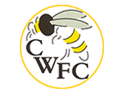 Chalfont Wasps
