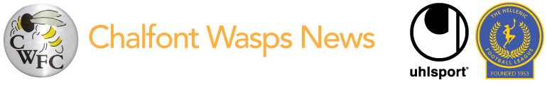 chalfont wasps News
